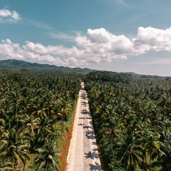 alejandro-luengo-clllGLYtLRA-unsplash (1)